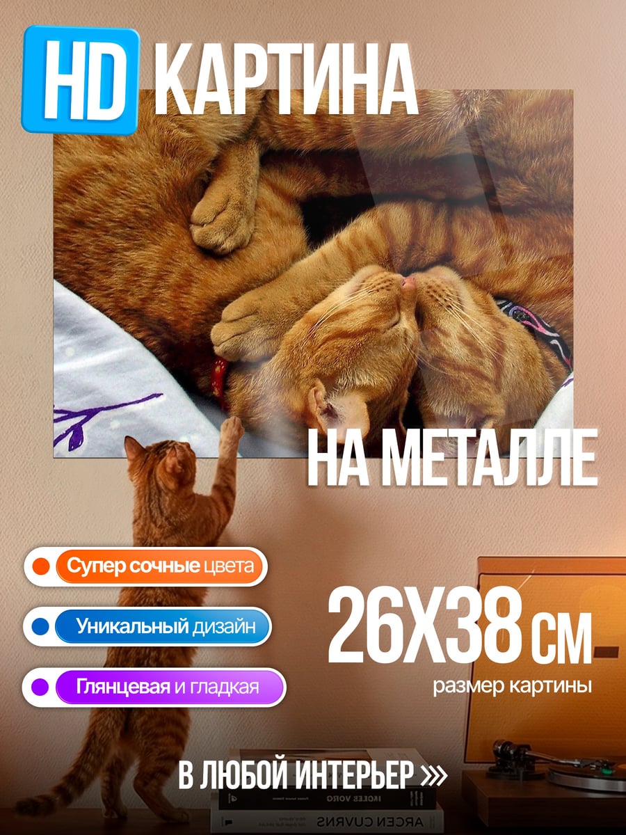 Картина на металле Спящий кот