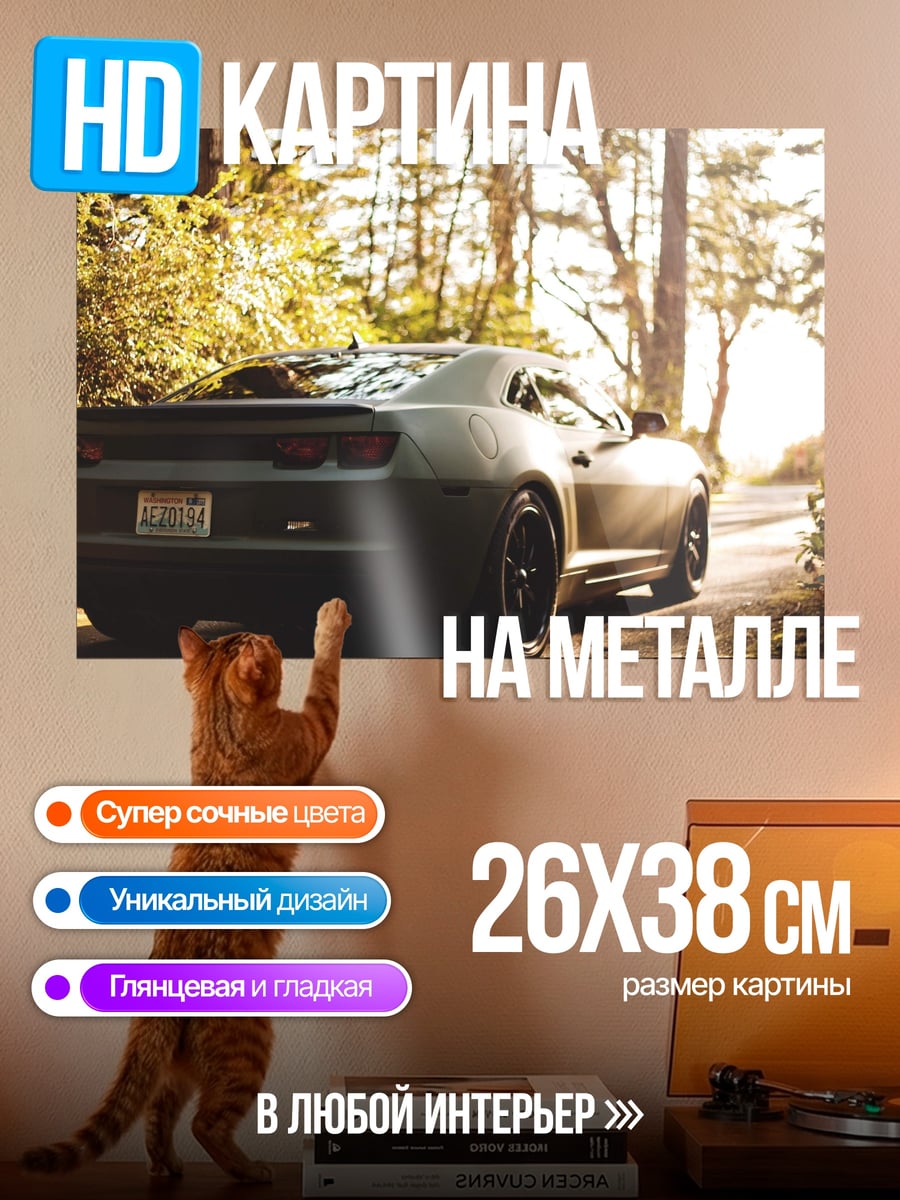 Картина на металле Спортивный автомобиль