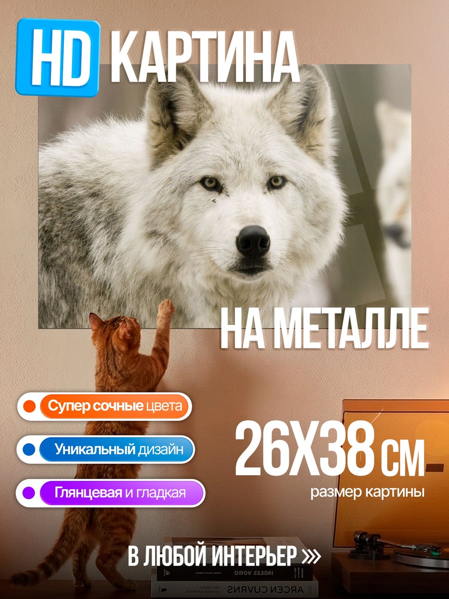Картина на металле Белый волк