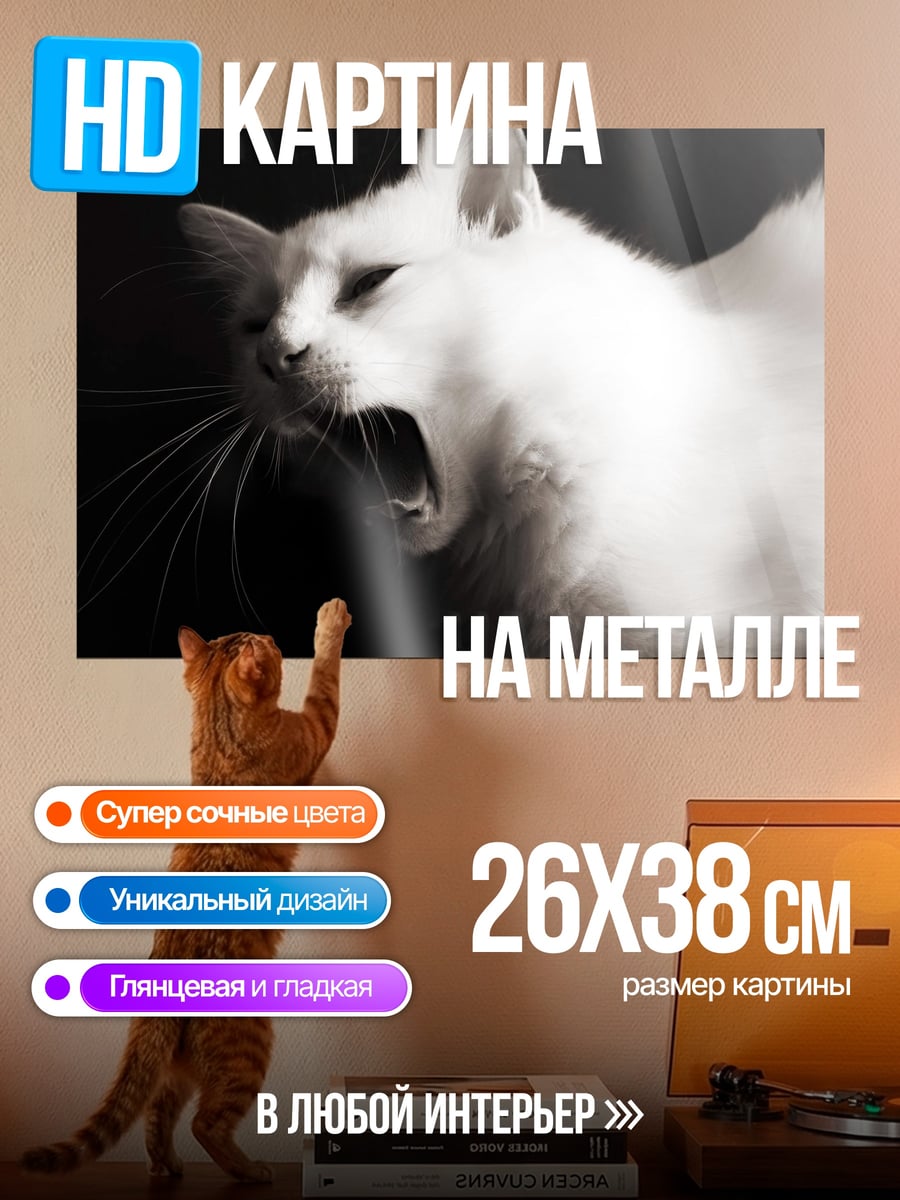 Картина на металле Белый кот зевает
