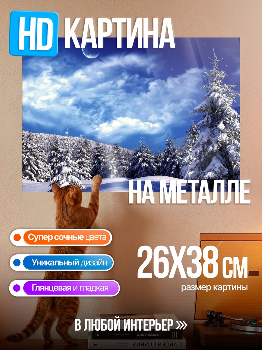 Картина на металле Зимний лес ночью
