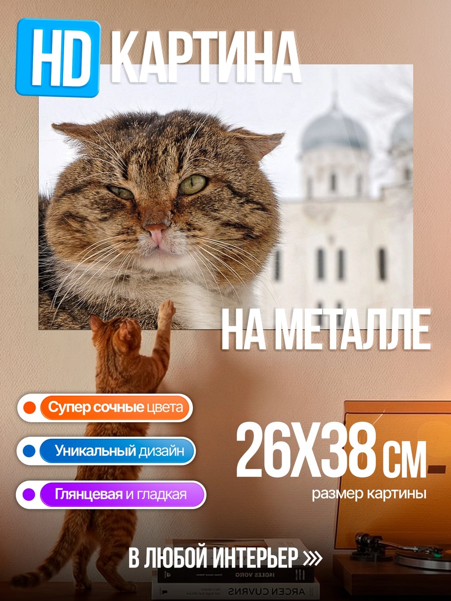 Картина на металле Кот у собора