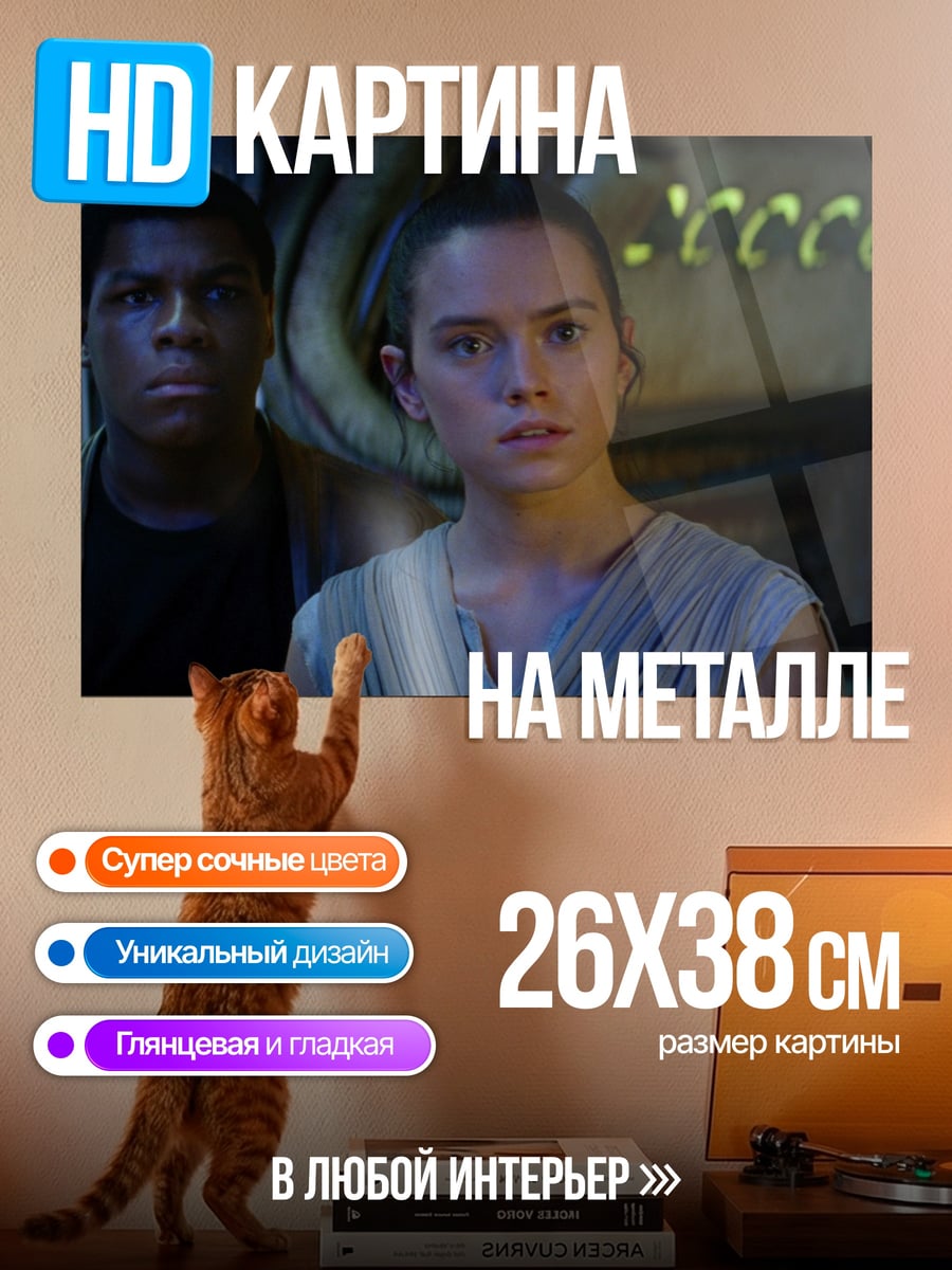 Картина на металле Рей и Финн