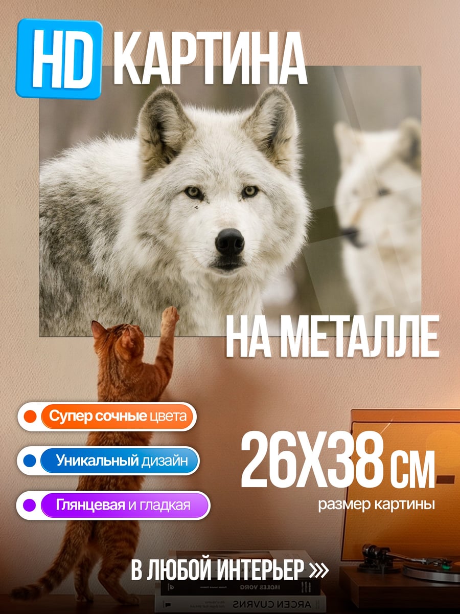 Картина на металле Белый волк