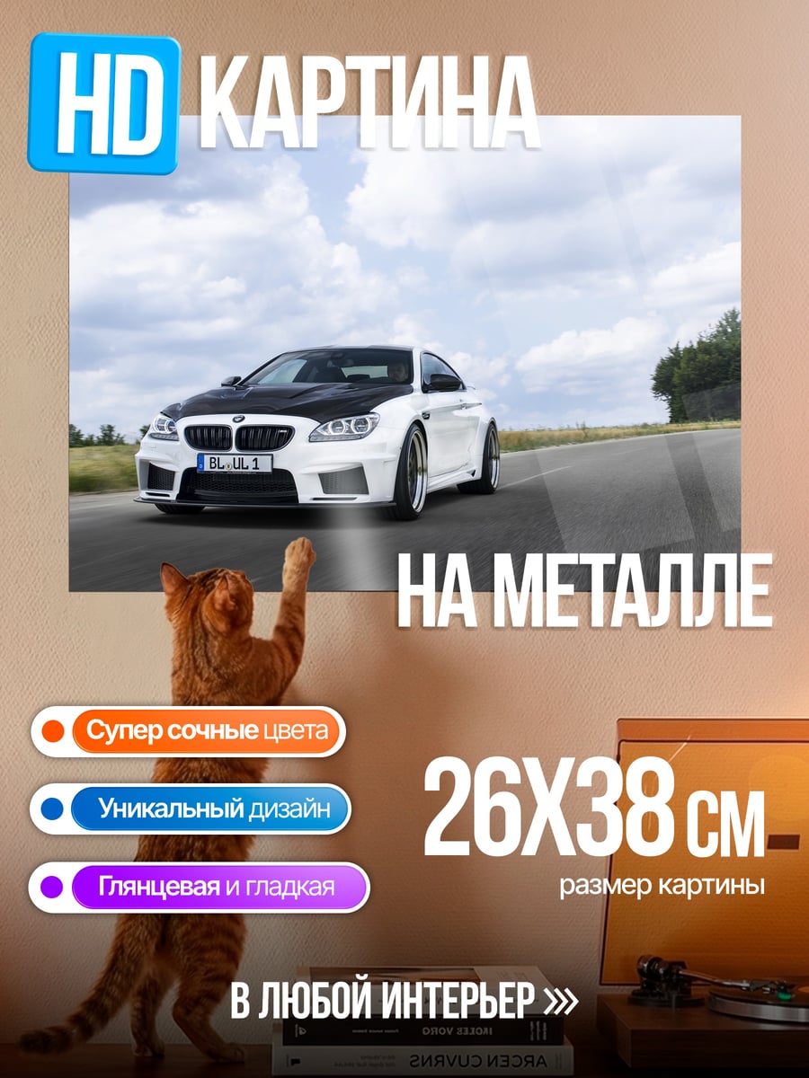 Картина на металле Белый BMW M6