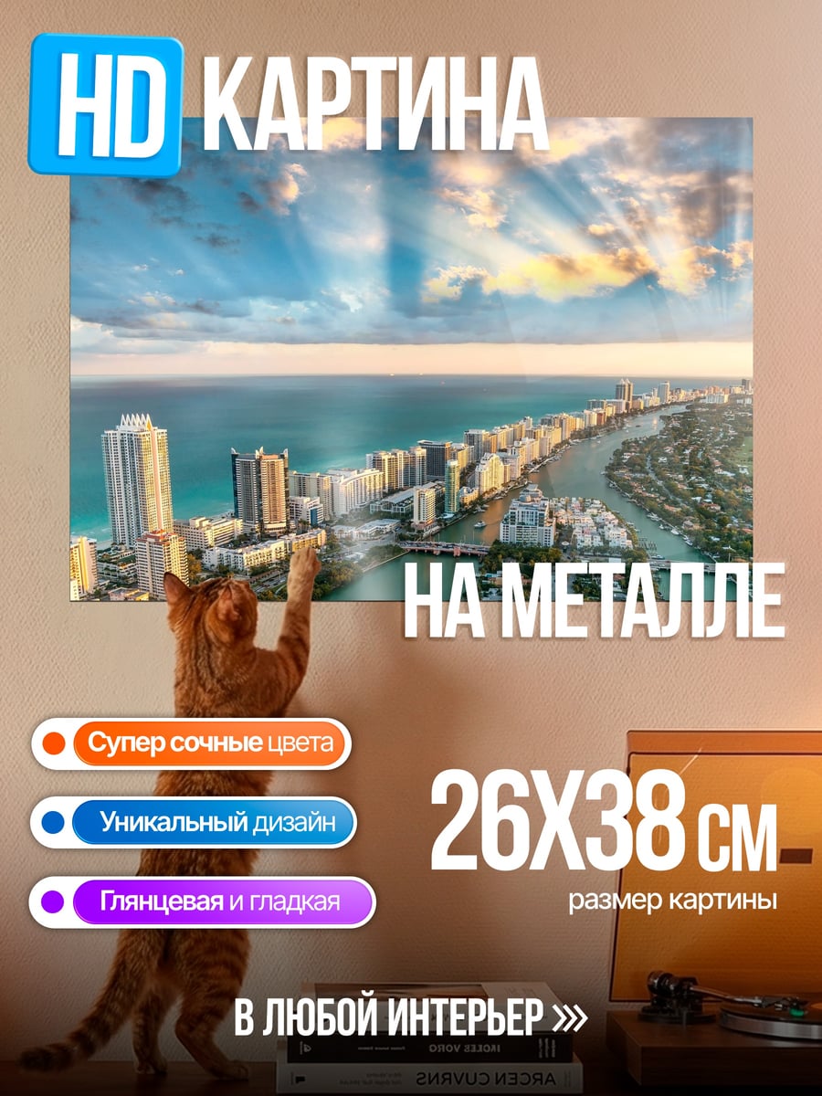 Картина на металле Городской пейзаж Майами