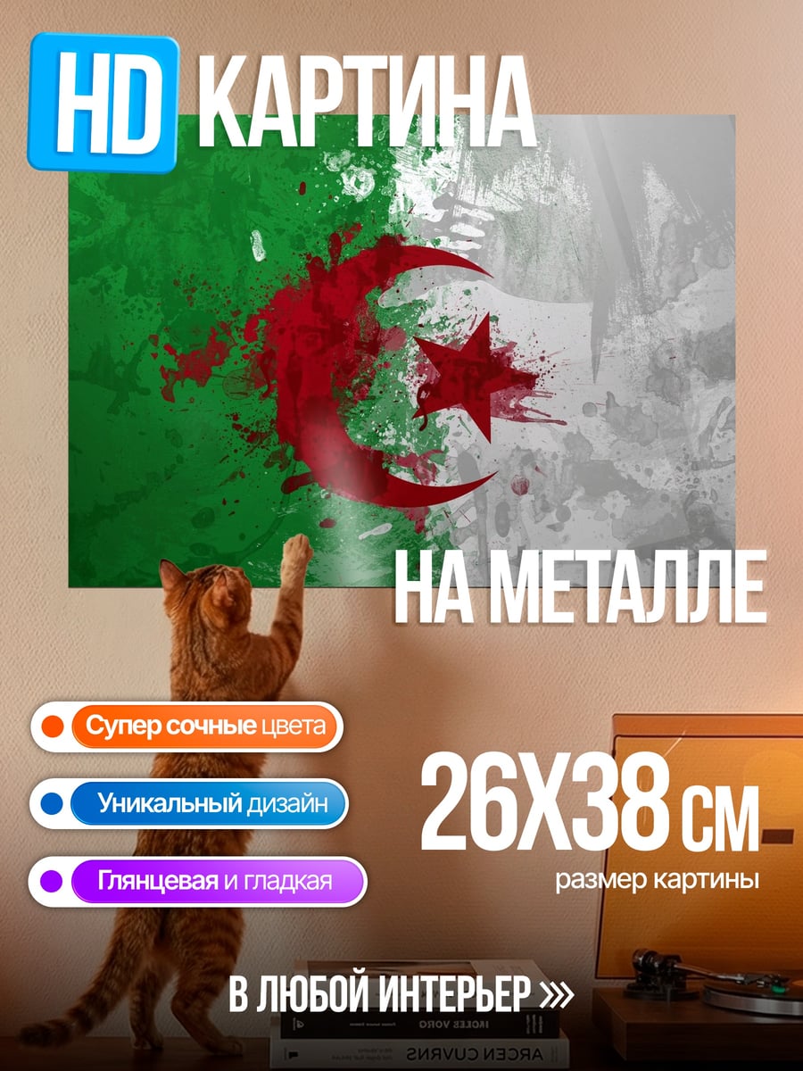 Картина на металле Флаг Алжира