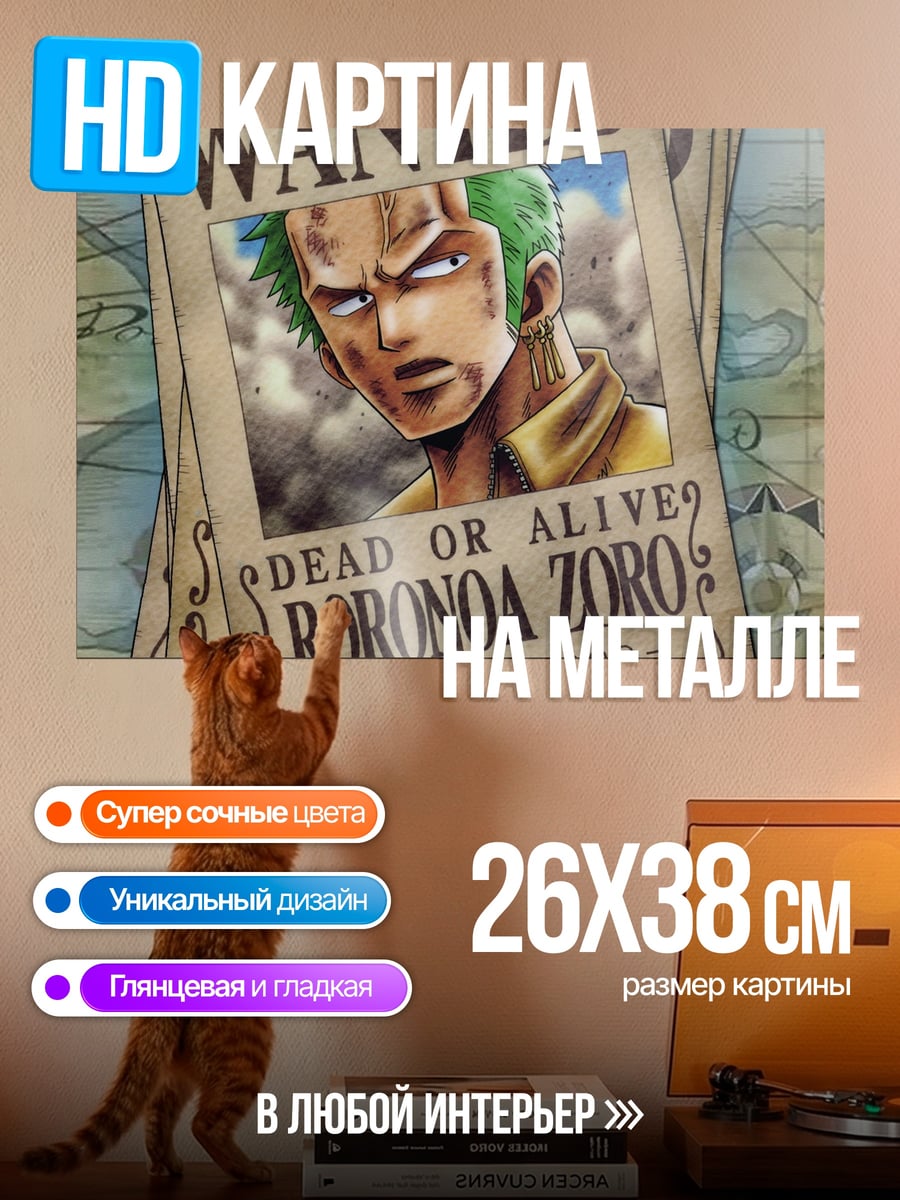 Картина на металле Ророноа Зоро награда