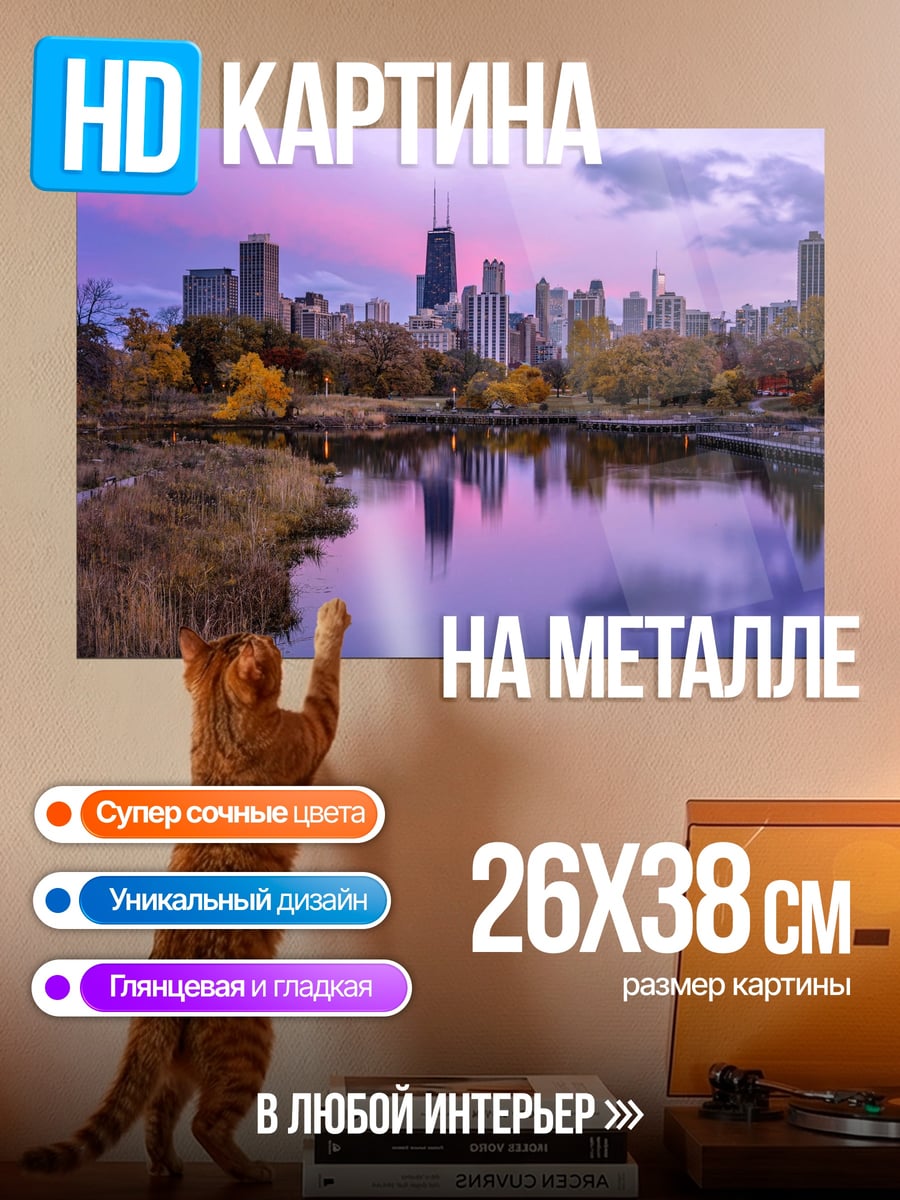 Картина на металле Осенний Чикаго