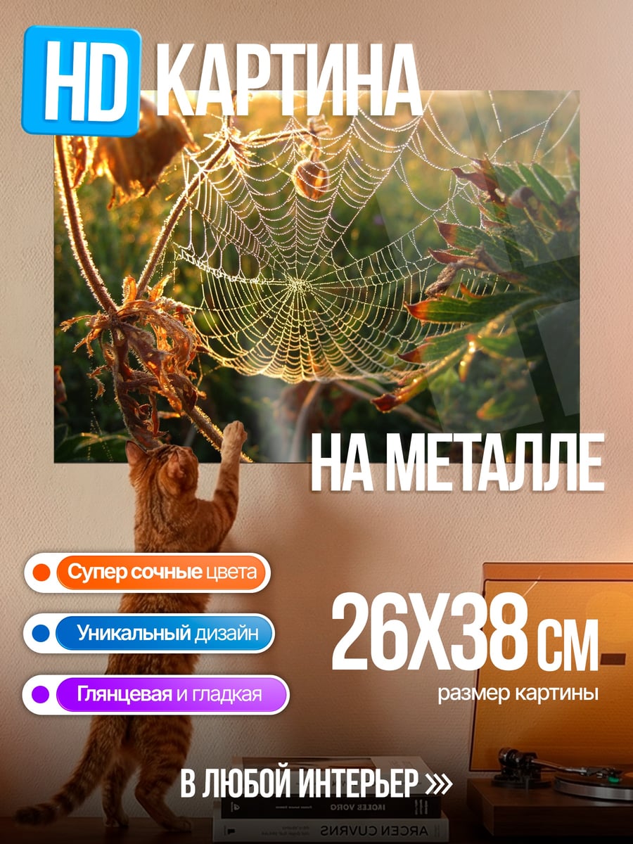Картина на металле Паутина роса утро