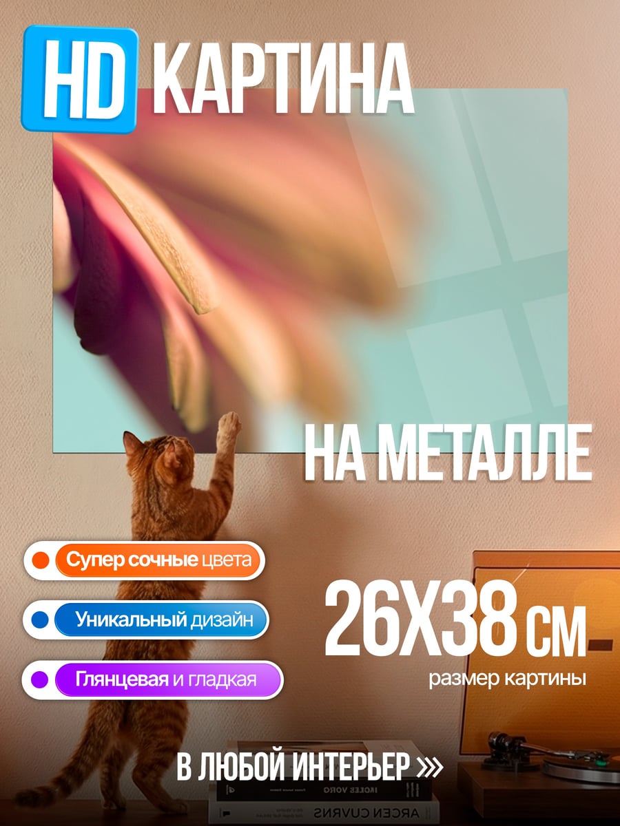 Картина на металле Розовый цветок крупным планом