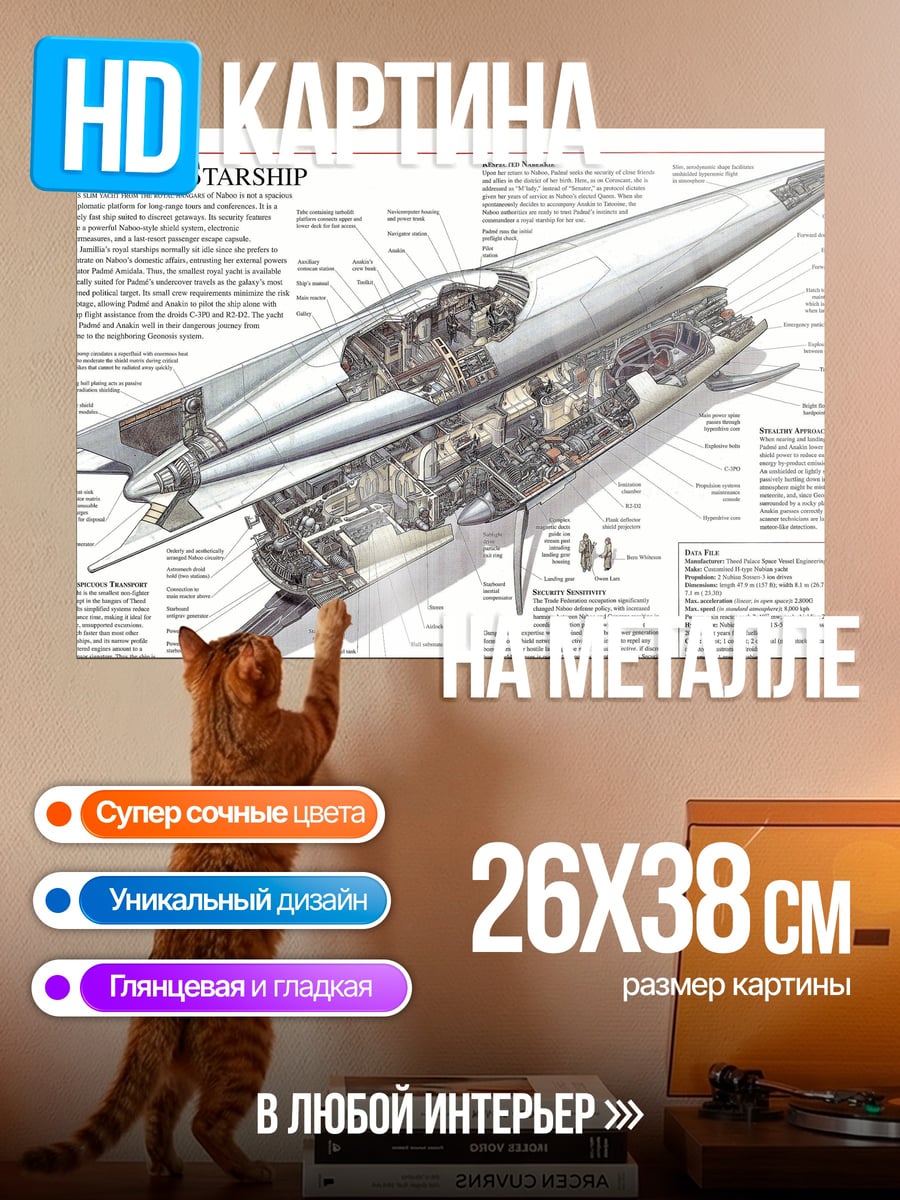 Картина на металле Чертеж корабля Падме