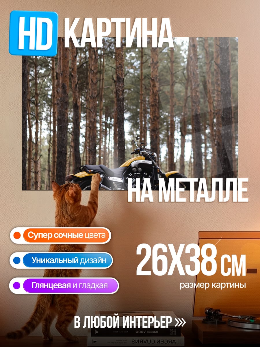 Картина на металле Мотоцикл в лесу