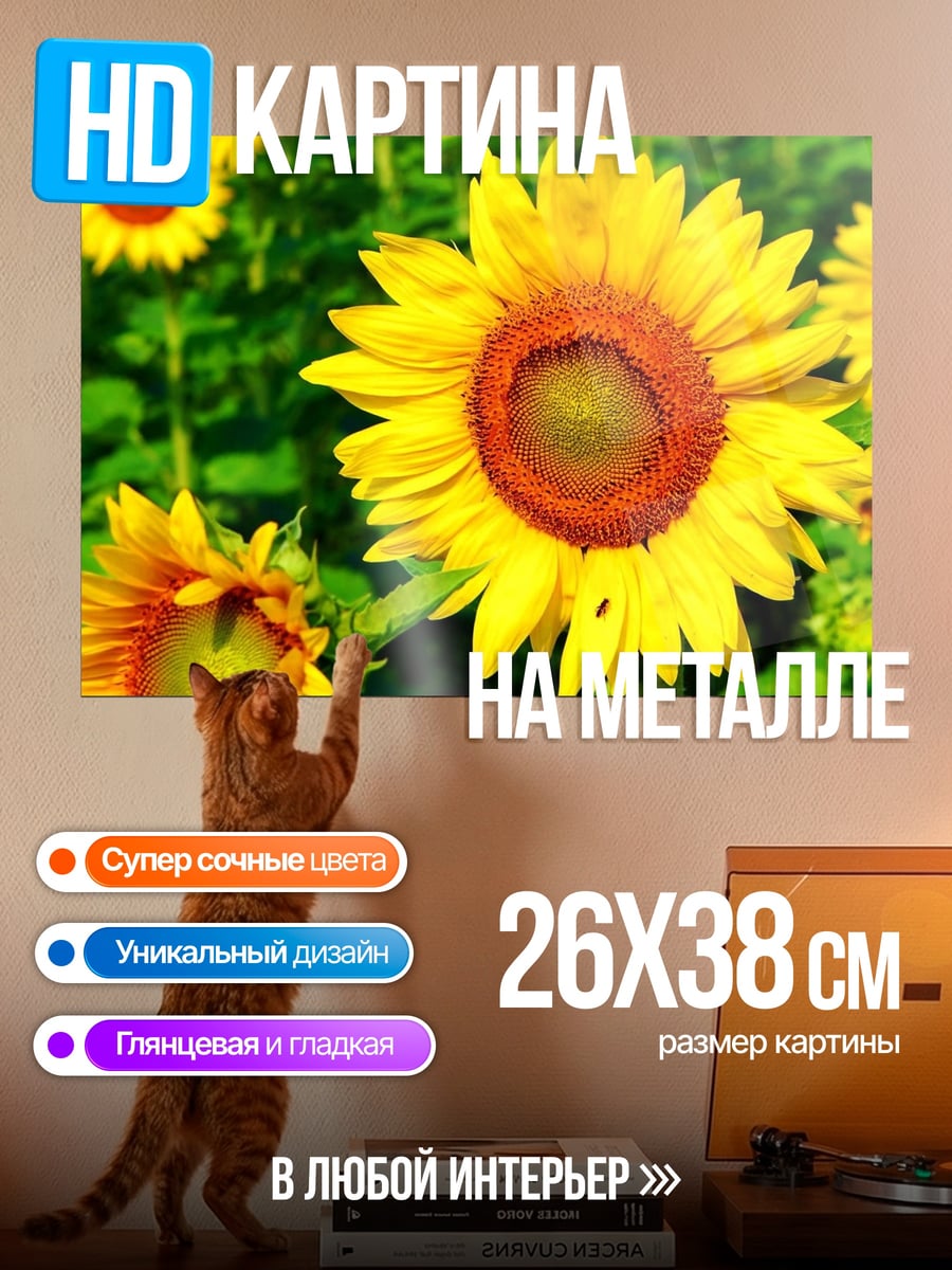 Картина на металле Поле подсолнухов