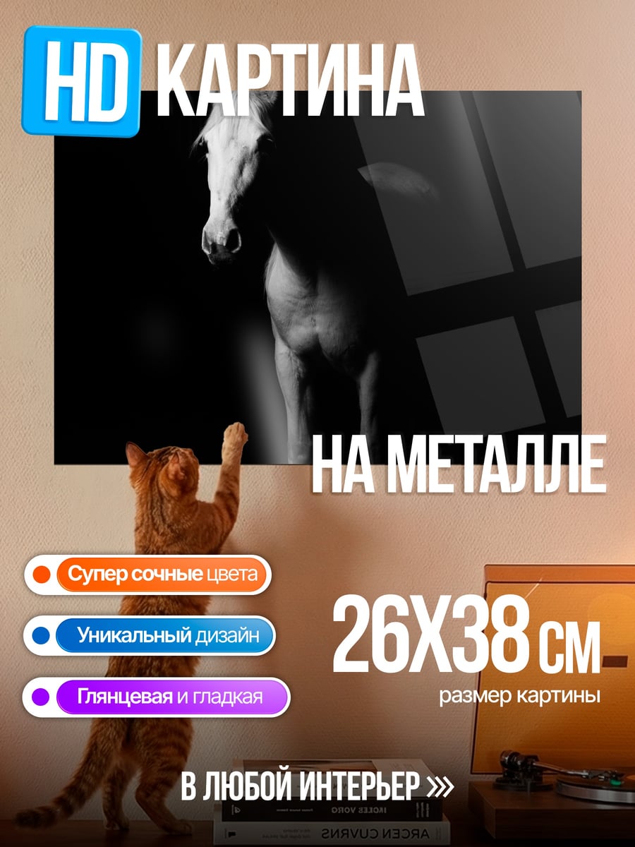 Картина на металле Белый конь в темноте