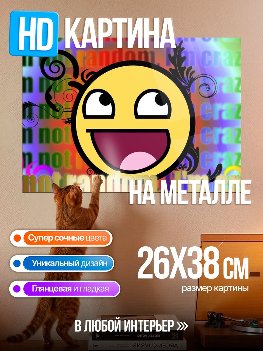 Картина на металле Я сумасшедший