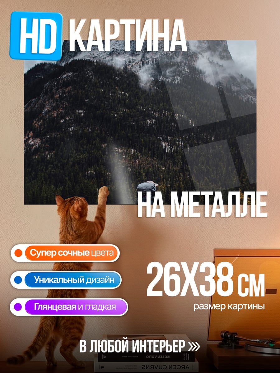 Картина на металле Путешественник у горы