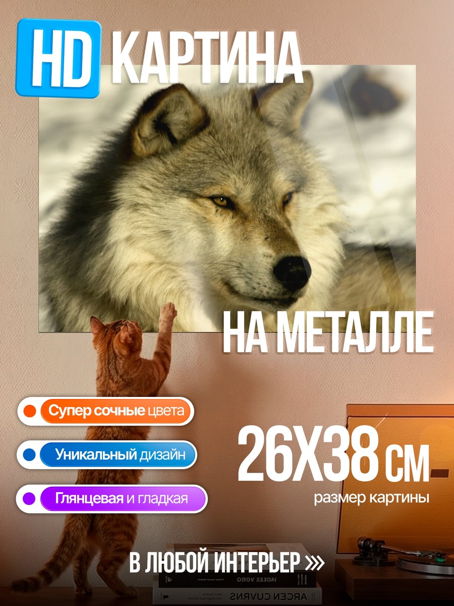 Картина на металле Портрет волка