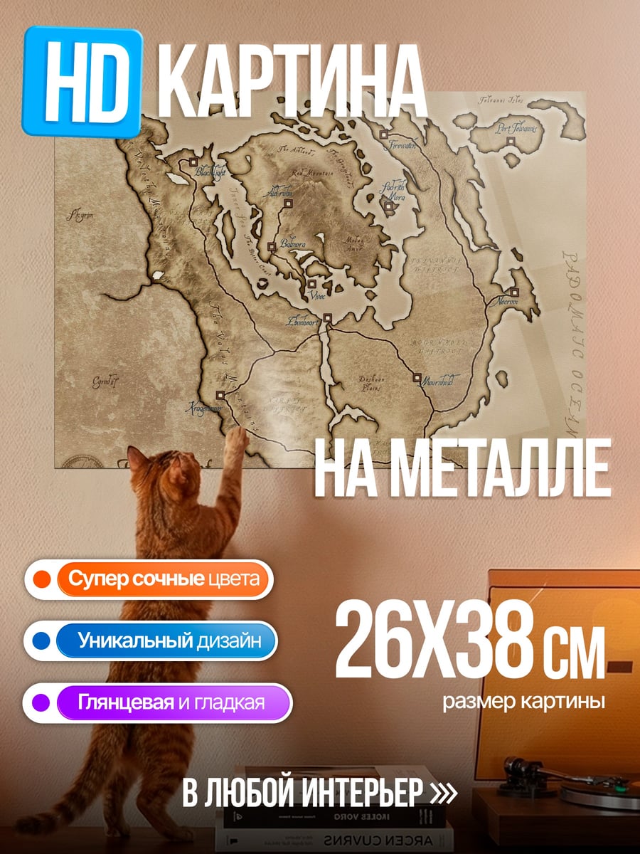 Картина на металле Карта Тамриэля