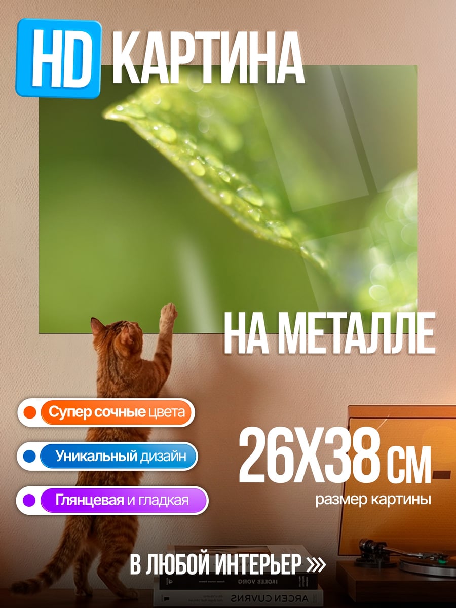 Картина на металле Капли на листе