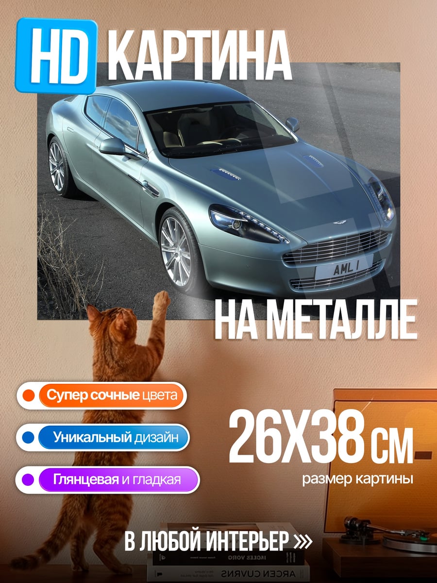 Картина на металле Aston Martin Rapide