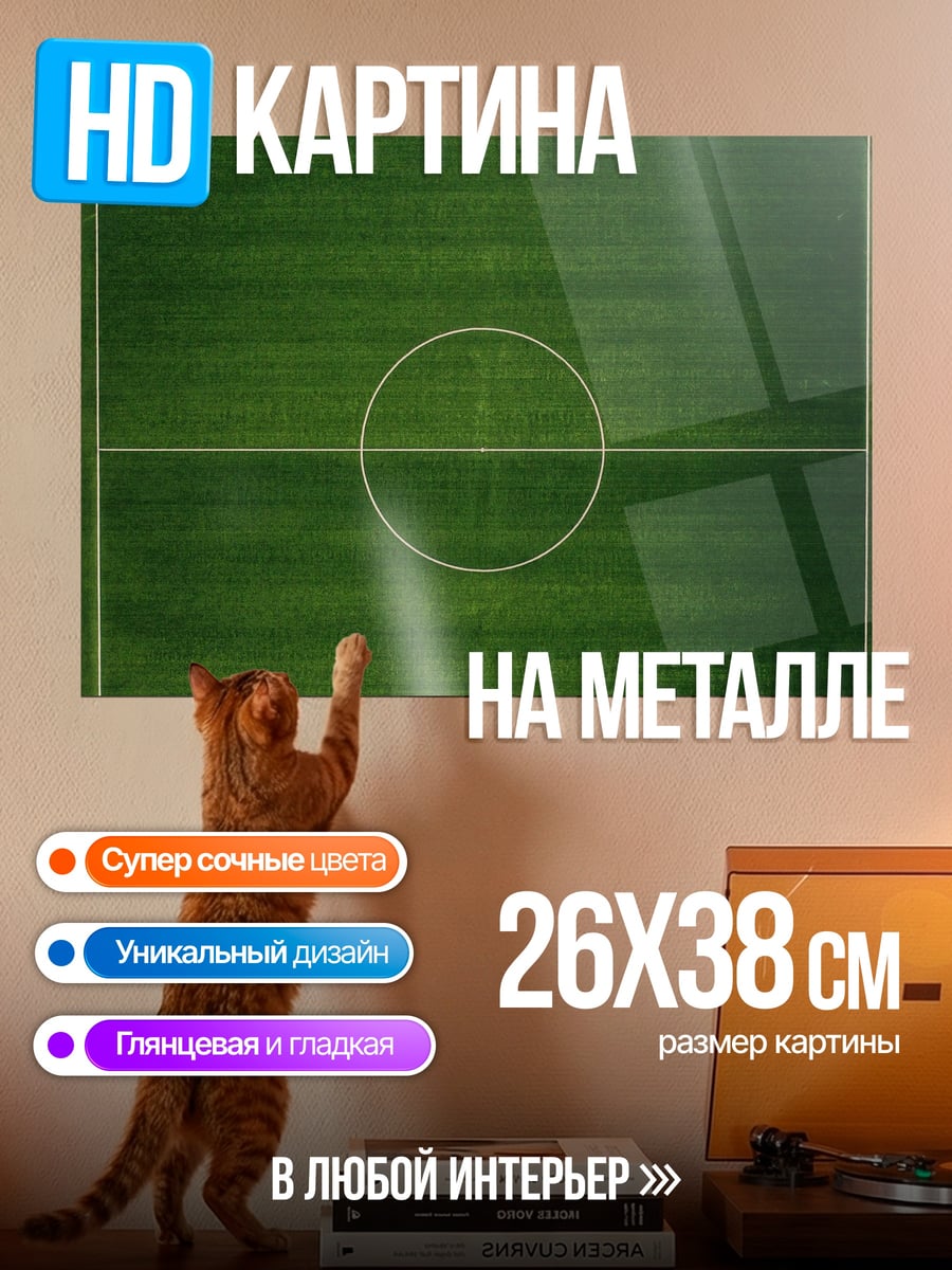 Картина на металле Футбольное поле