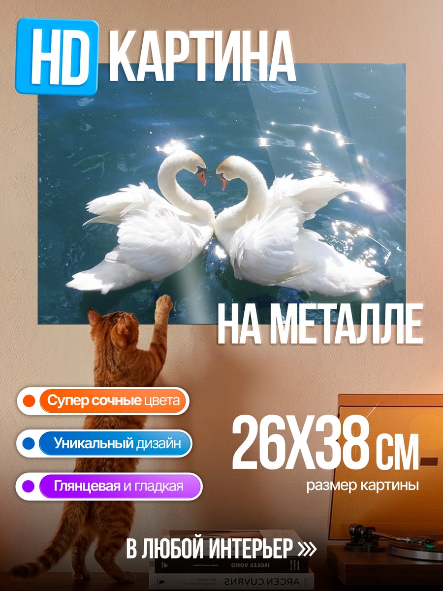 Картина на металле Два лебедя в воде