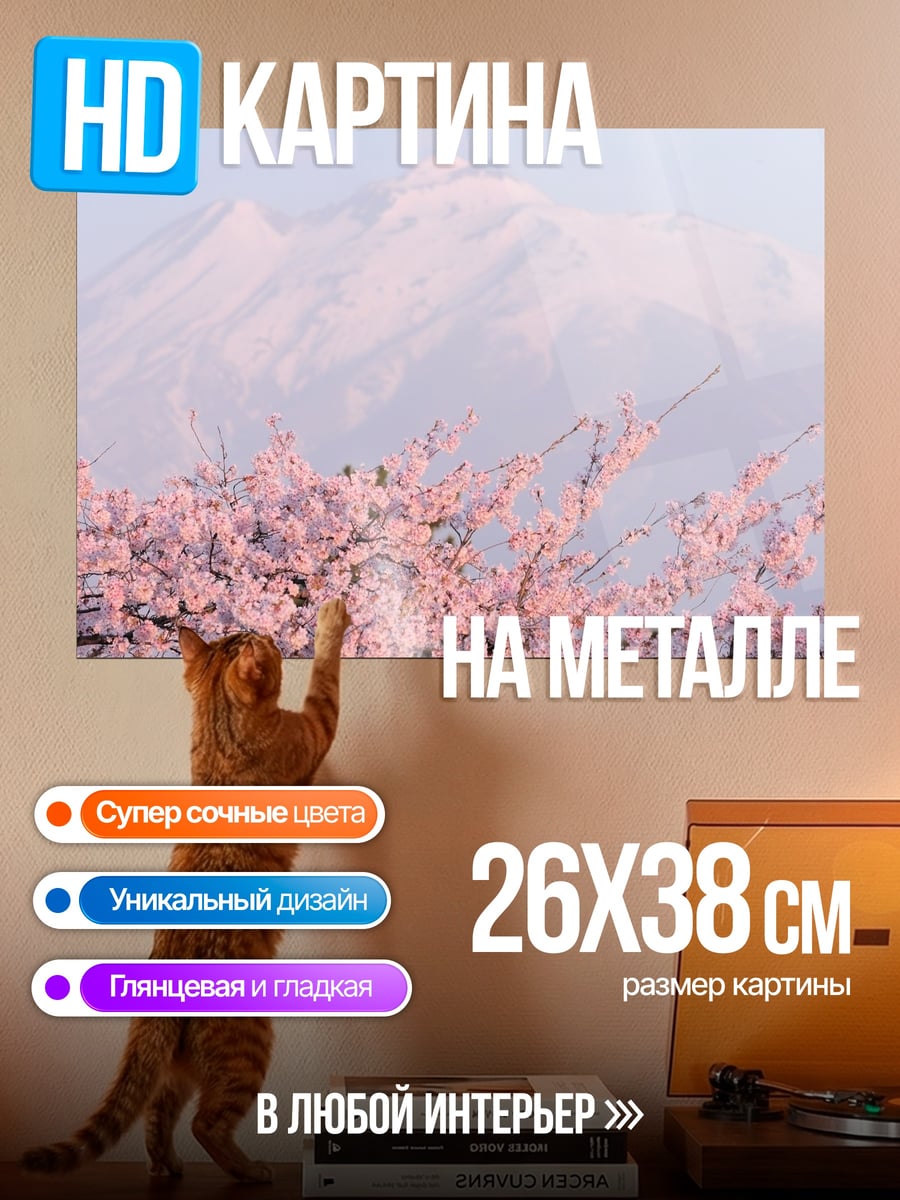 Картина на металле Цветение сакуры гора