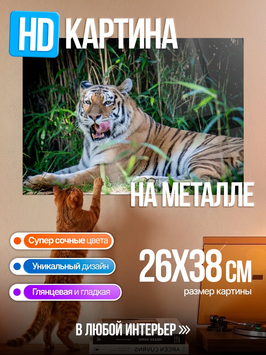 Картина на металле Тигр в зарослях