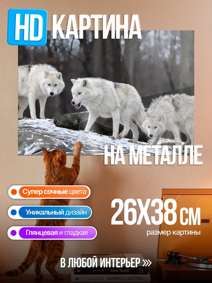 Картина на металле Белые волки
