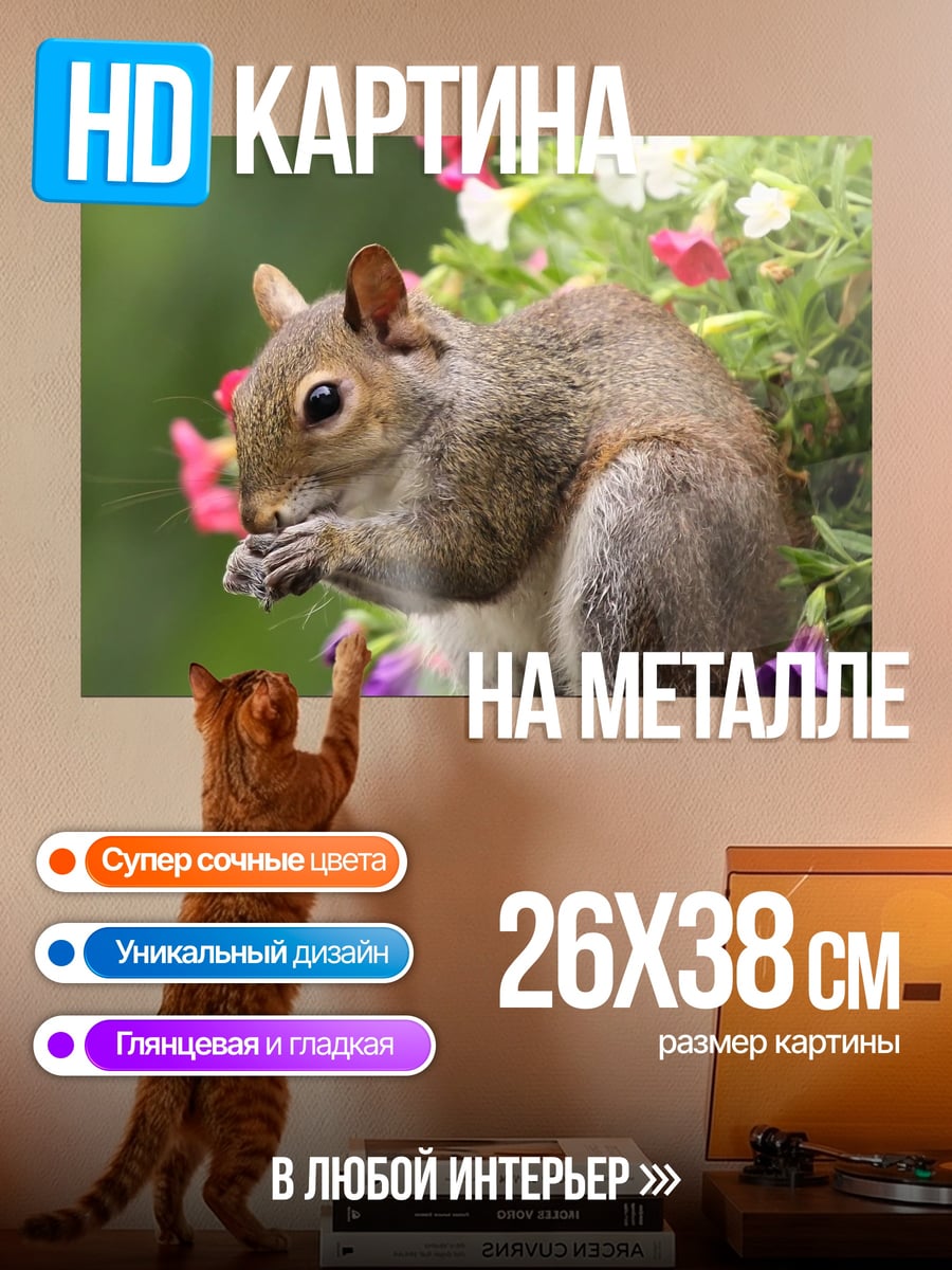 Картина на металле Белка