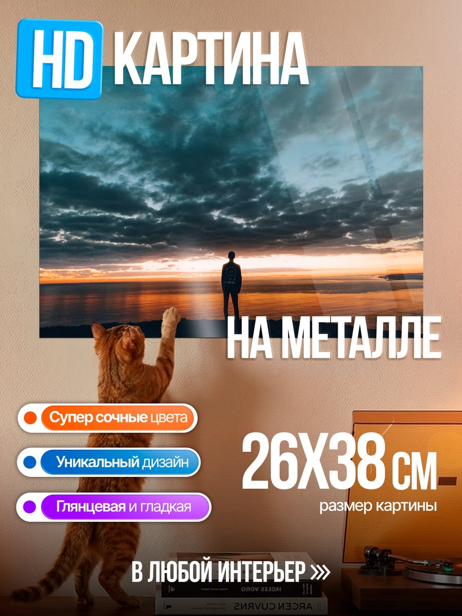 Картина на металле Человек на закате