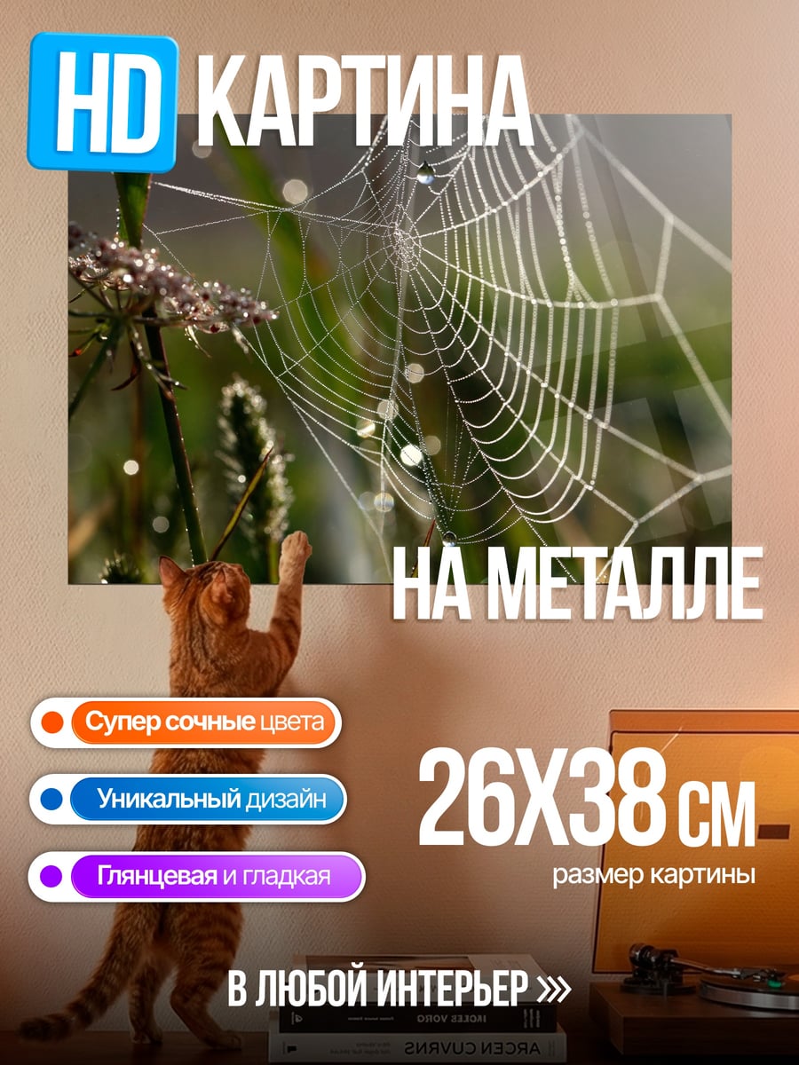 Картина на металле Паутина с росой