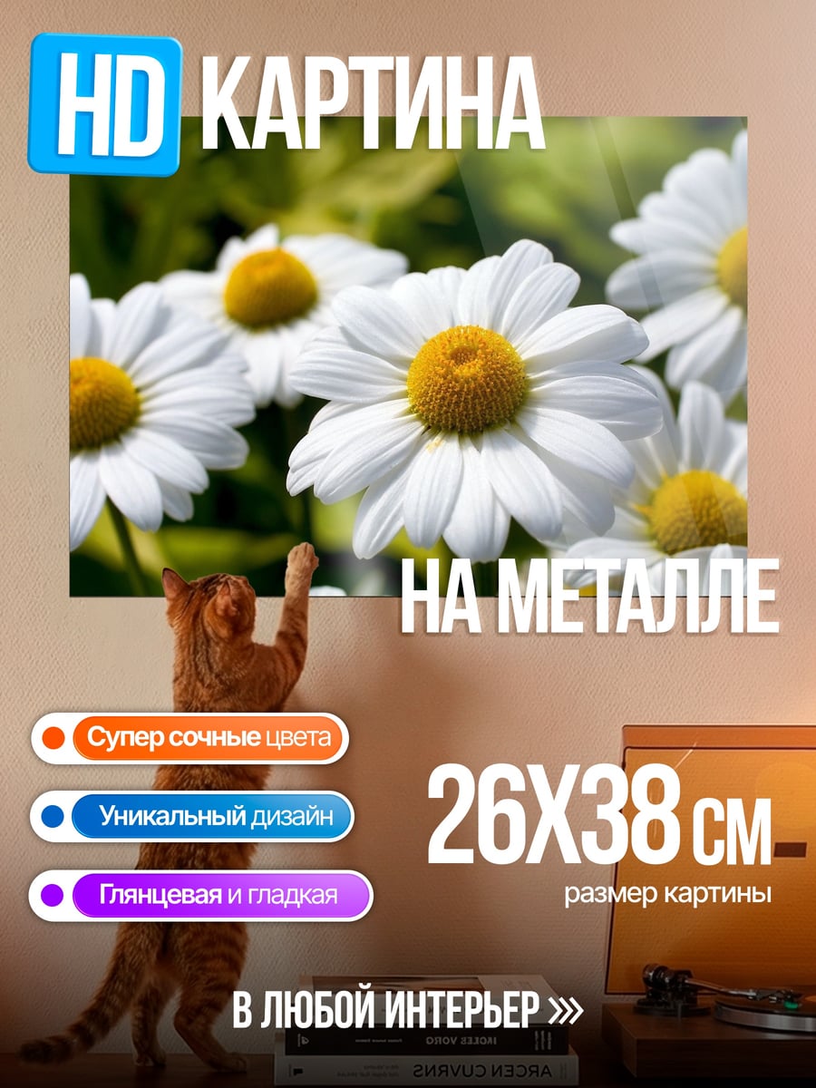 Картина на металле Белые ромашки
