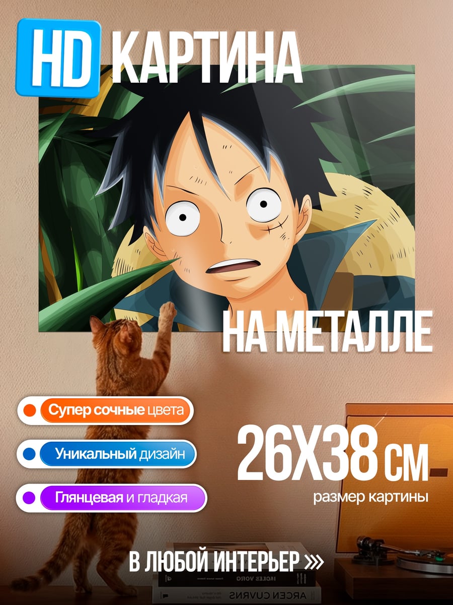 Картина на металле Манки Д Луффи