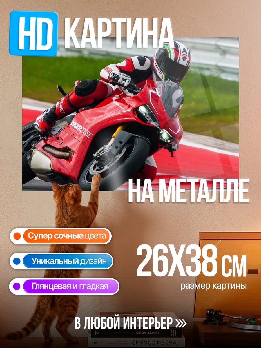 Картина на металле Гонщик на мотоцикле