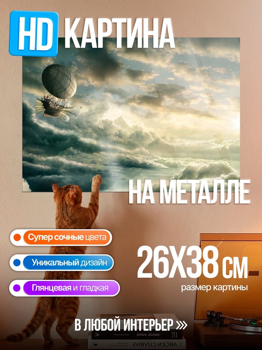 Картина на металле Воздушный шар в облаках