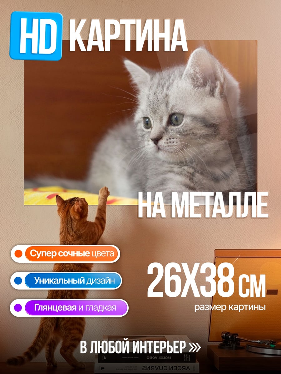 Картина на металле Милый котенок