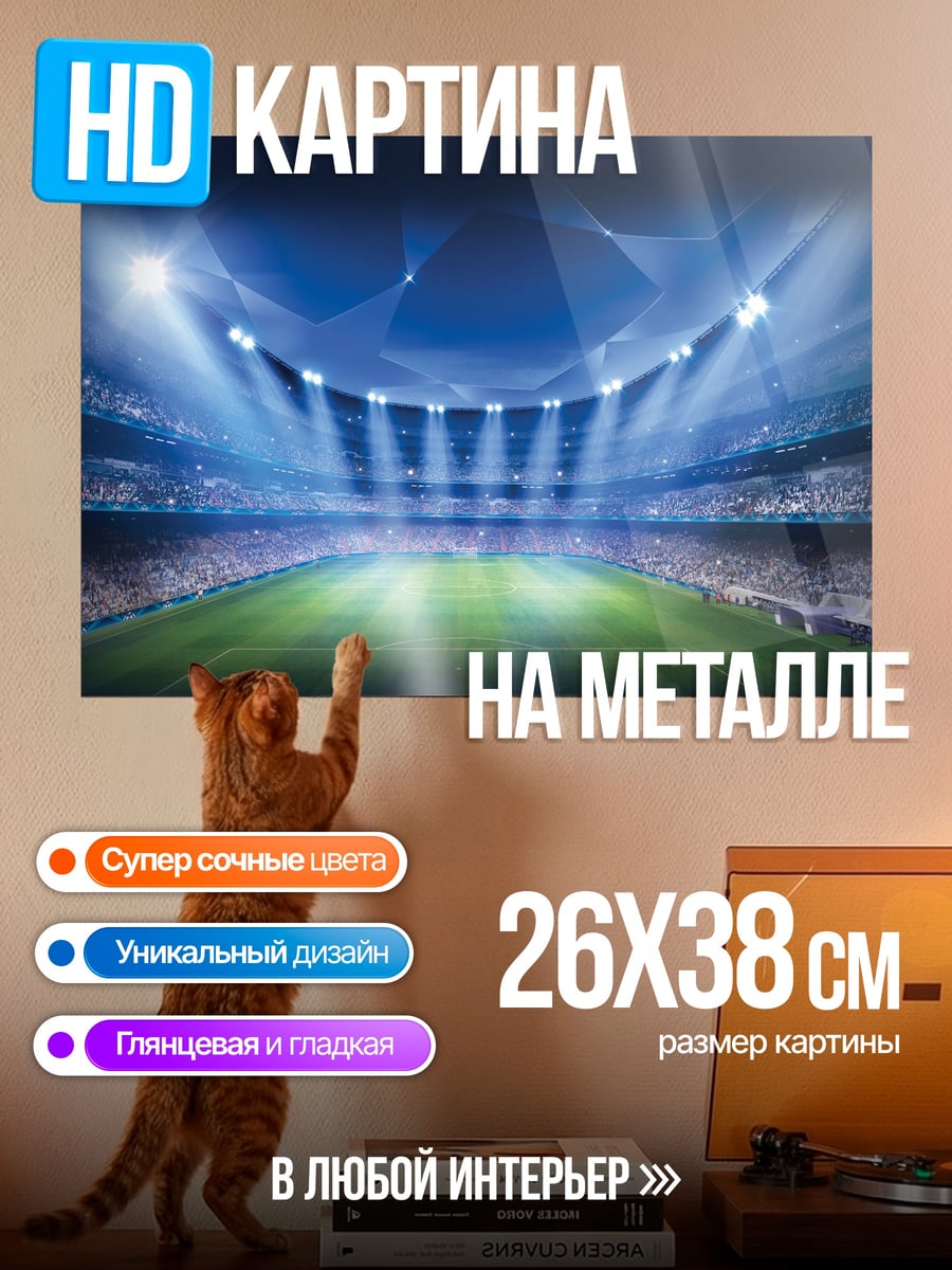 Картина на металле Футбольный стадион огни