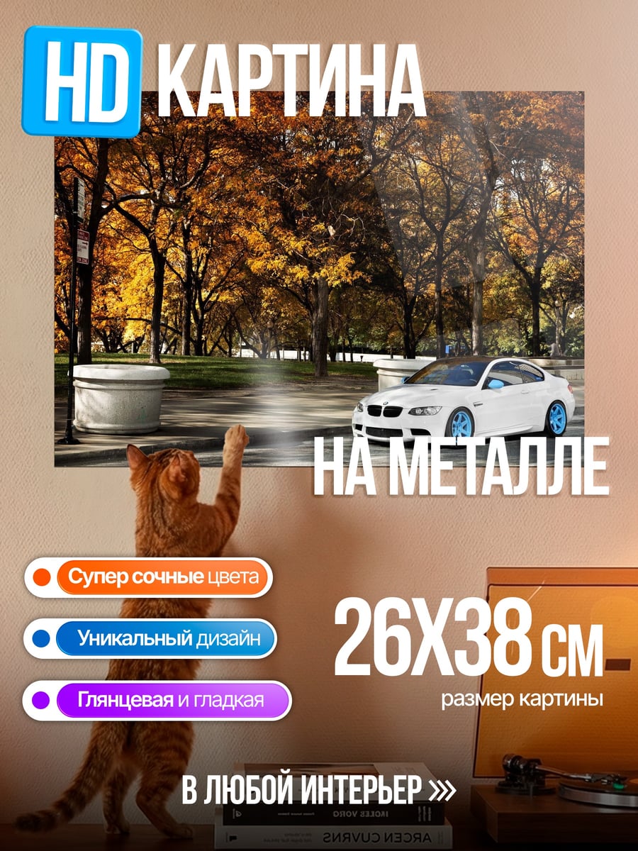 Картина на металле Белое купе осенью