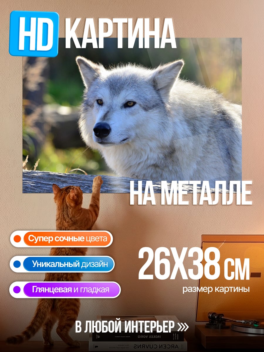 Картина на металле Серый волк
