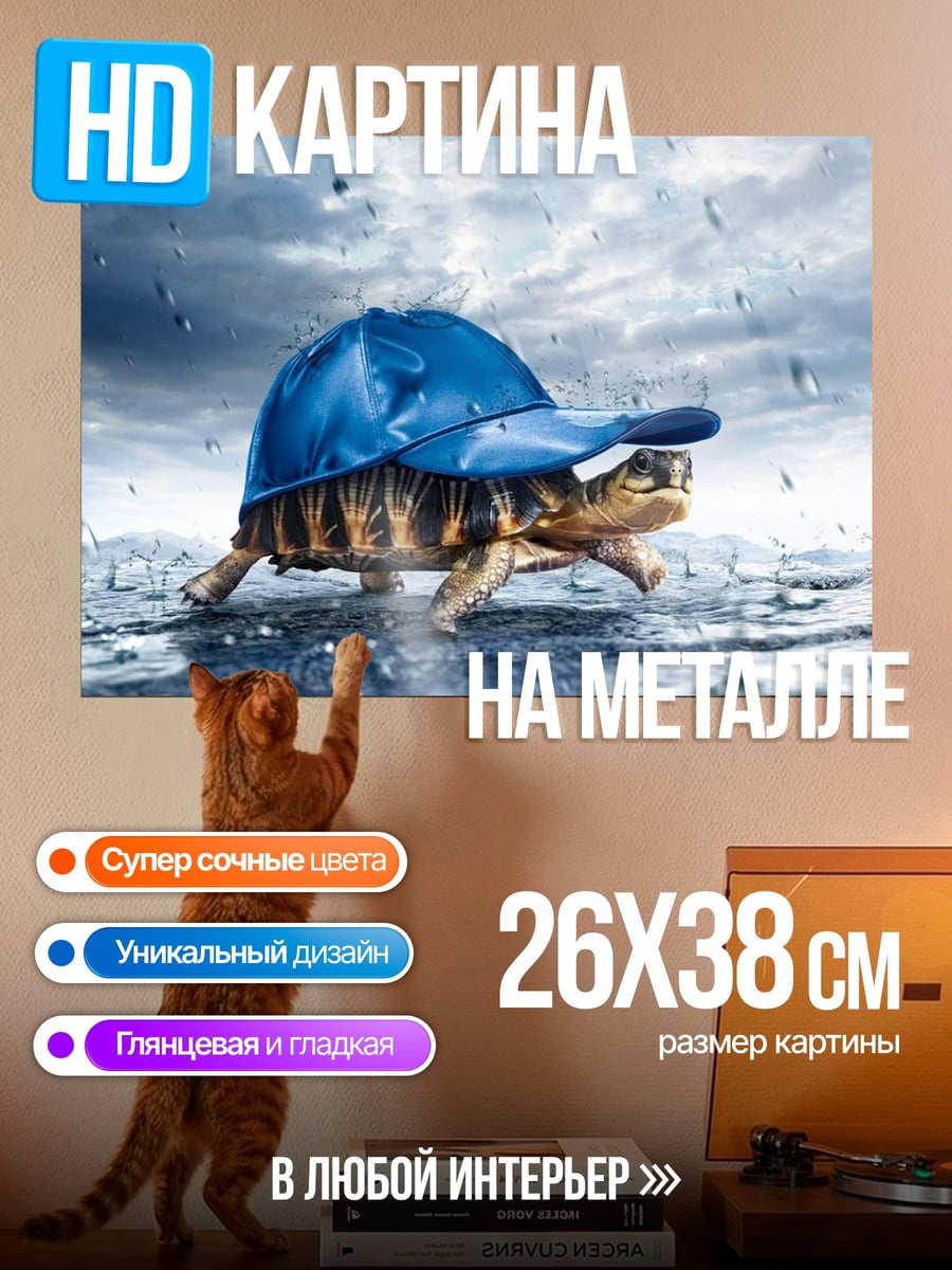 Картина на металле Черепаха в кепке