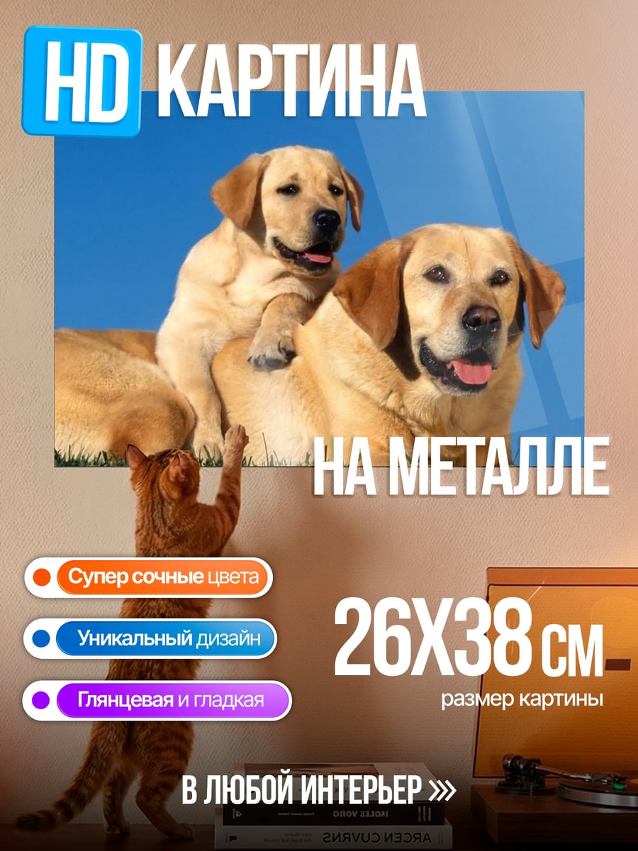 Картина на металле Лабрадоры мама и щенок