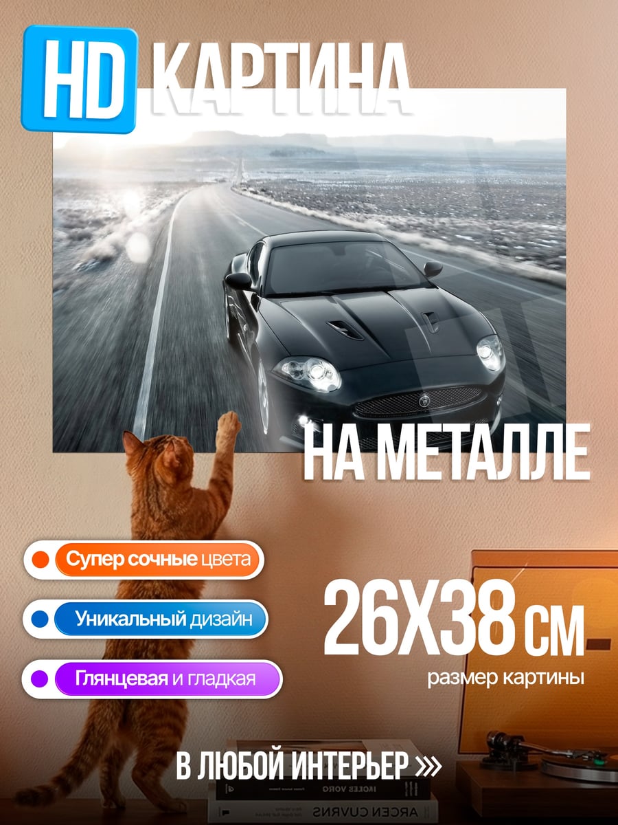 Картина на металле Jaguar XK