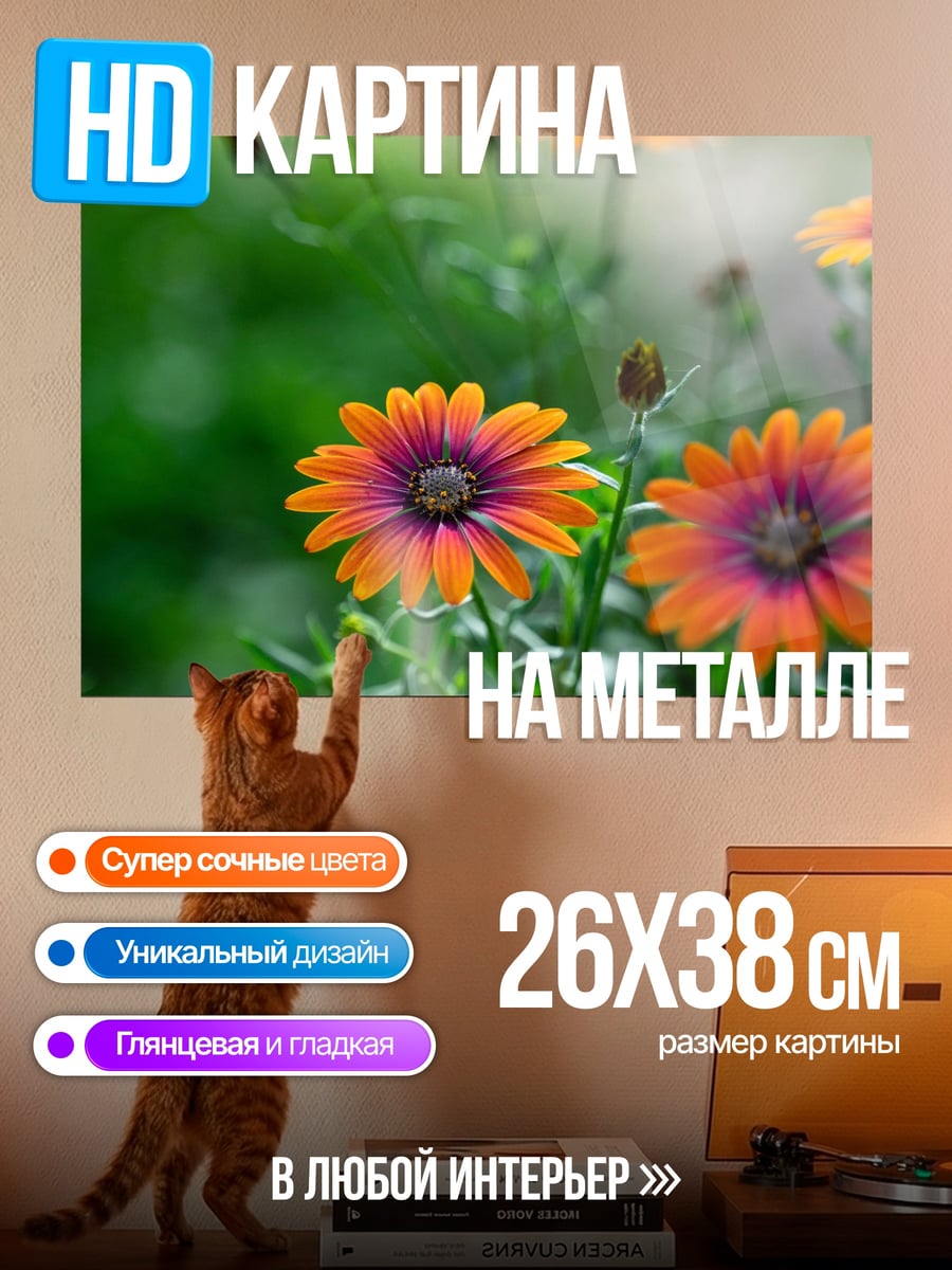 Картина на металле Оранжевые цветы сад