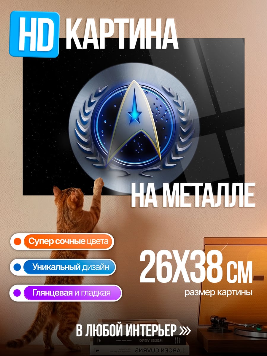 Картина на металле Звездный флот эмблема