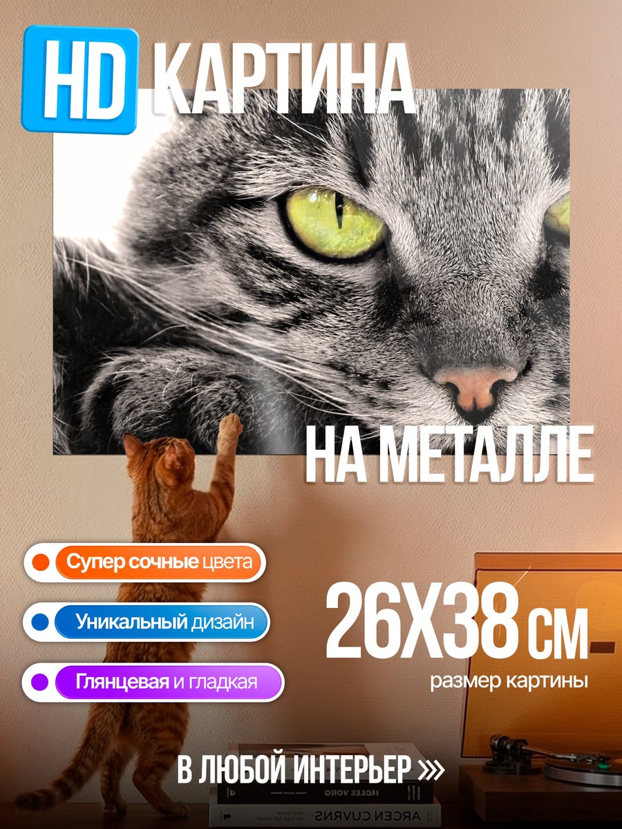 Картина на металле Кот с зелеными глазами