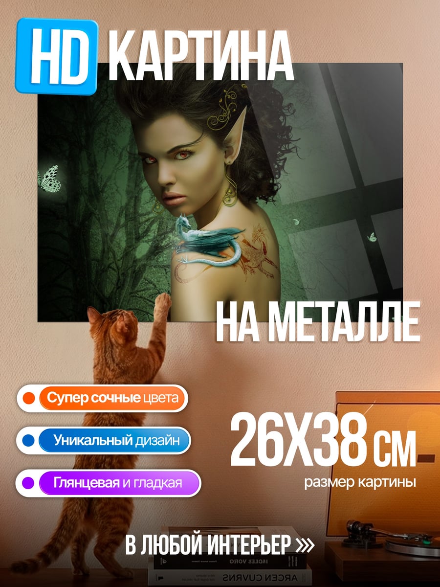 Картина на металле Девушка эльф дракон
