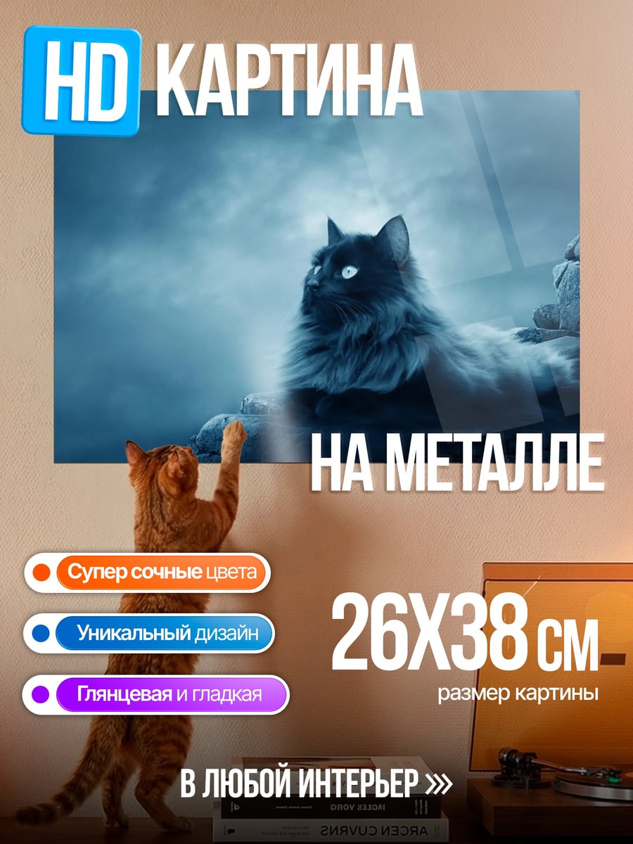Картина на металле Черный кот луна