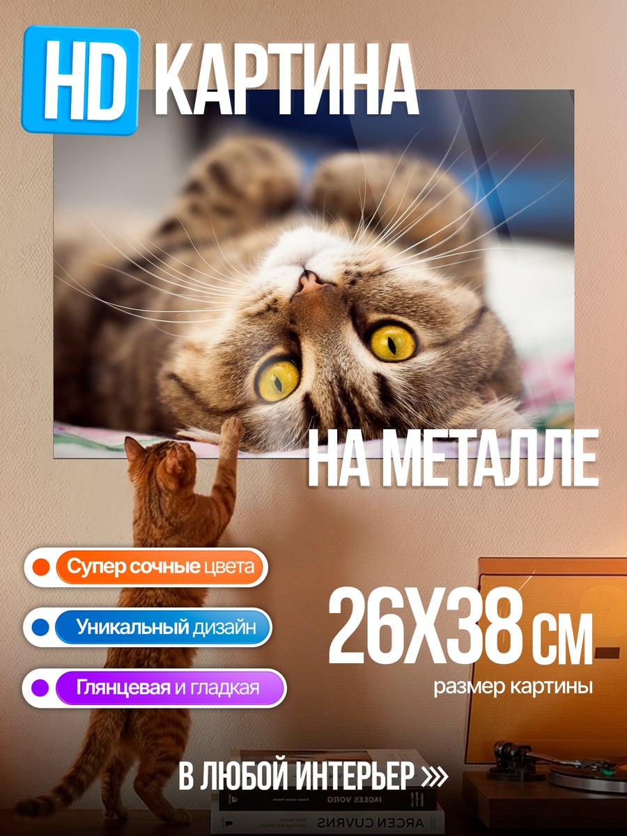 Картина на металле Ленивый кот